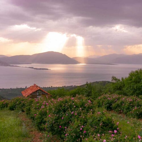 ısparta