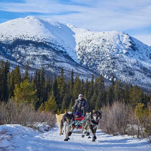 Northern-Lights-Resort-and-Spa-10