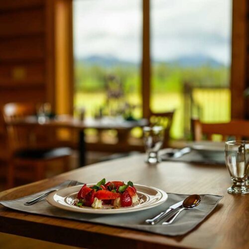 Northern-Lights-Resort-and-Spa-4