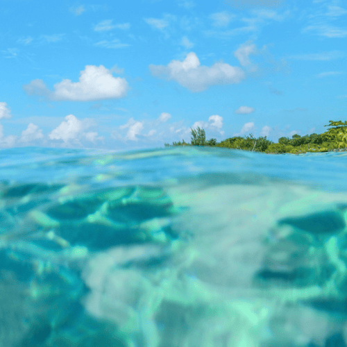 Cozumel (2)