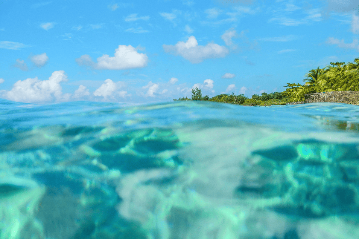 Cozumel (2)