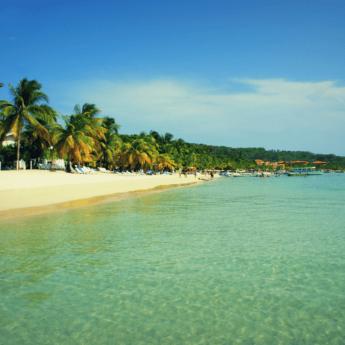 Rich Reefs and Garifuna Culture in Roatán
