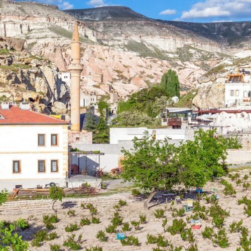 çavuşin 1