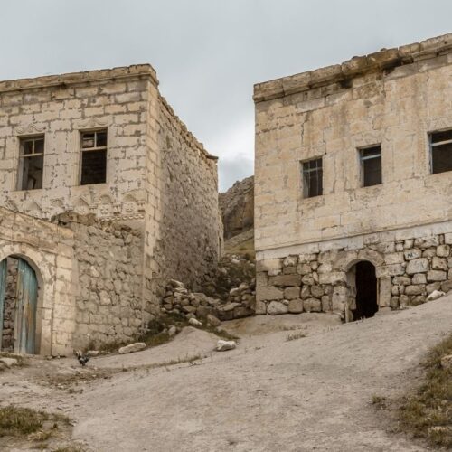 çavuşin