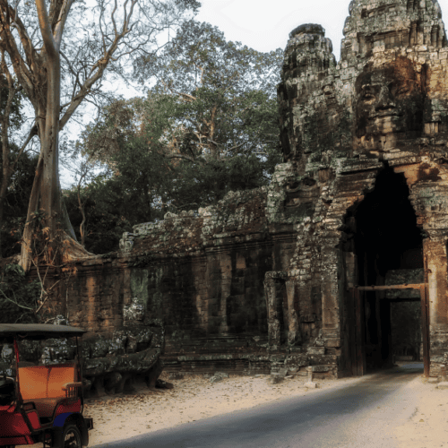 Angkor Arkeoloji Parkı