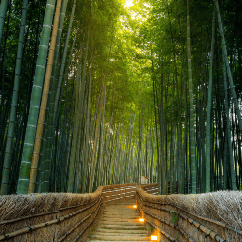 Arashiyama