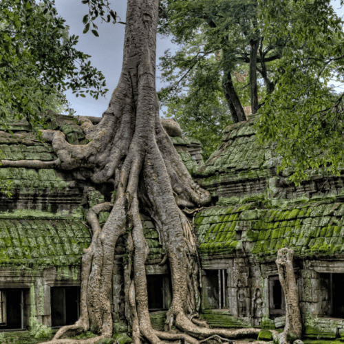 Kamboçya Angkor Wat