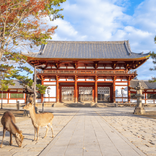 Nara Japan