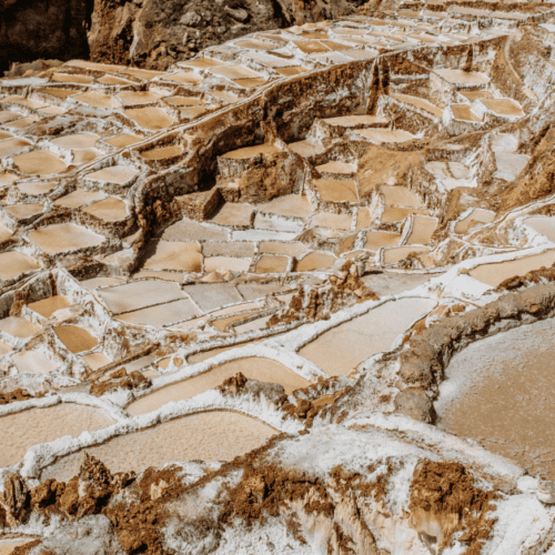 maras